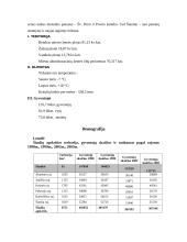 Šiaulių miesto situacijos analizė 3 puslapis