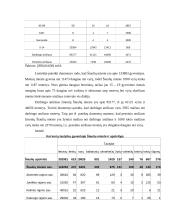 Šiaulių miesto situacijos analizė 10 puslapis