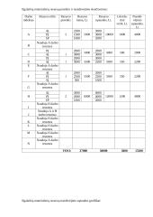 Šilumvežio M-62 jėgainės keitimas 13 puslapis