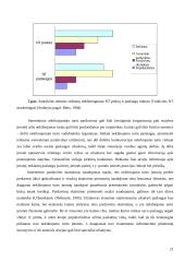 Elektroninis verslas ir nekilnojamasis turtas 18 puslapis