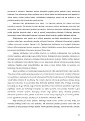 Elektroninis verslas ir nekilnojamasis turtas 20 puslapis