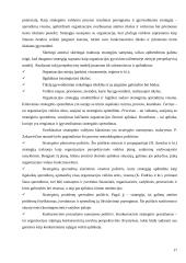 Šiuolaikinių organizacijų valdymo tendencijos 17 puslapis