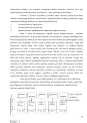 Šiuolaikinių organizacijų valdymo tendencijos 10 puslapis