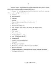 Šunų babeziozė 10 puslapis