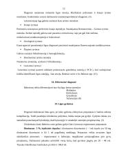 Šunų babeziozė 11 puslapis