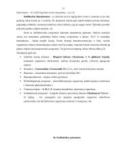 Šunų babeziozė 12 puslapis