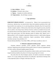 Šunų babeziozė 3 puslapis