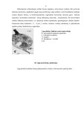 Šunų babeziozė 5 puslapis