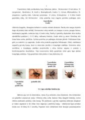Šunų babeziozė 6 puslapis
