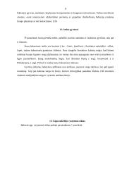 Šunų babeziozė 7 puslapis