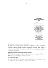 Šunų babeziozė 8 puslapis