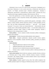 Globalizacijos įtaka Lietuvos ūkiui 2 puslapis
