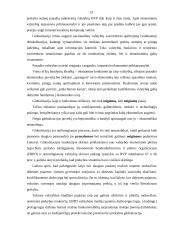 Globalizacijos įtaka Lietuvos ūkiui 12 puslapis