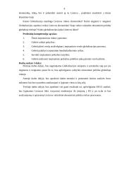 Globalizacijos įtaka Lietuvos ūkiui 3 puslapis