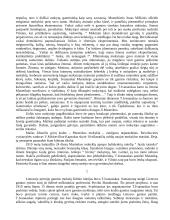 Tadas Ivanauskas 13 puslapis