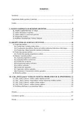 Įmonių veiklos auditas Lietuvoje: problemos ir sprendimai 2 puslapis