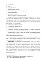 Įmonių veiklos auditas Lietuvoje: problemos ir sprendimai 11 puslapis