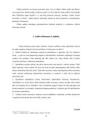 Įmonių veiklos auditas Lietuvoje: problemos ir sprendimai 12 puslapis
