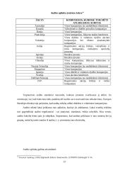 Įmonių veiklos auditas Lietuvoje: problemos ir sprendimai 13 puslapis