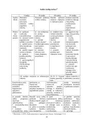 Įmonių veiklos auditas Lietuvoje: problemos ir sprendimai 18 puslapis