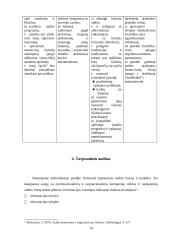 Įmonių veiklos auditas Lietuvoje: problemos ir sprendimai 19 puslapis