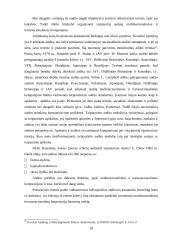 Įmonių veiklos auditas Lietuvoje: problemos ir sprendimai 20 puslapis