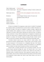 Įmonių veiklos auditas Lietuvoje: problemos ir sprendimai 3 puslapis