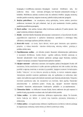 Įmonių veiklos auditas Lietuvoje: problemos ir sprendimai 5 puslapis
