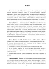 Įmonių veiklos auditas Lietuvoje: problemos ir sprendimai 6 puslapis