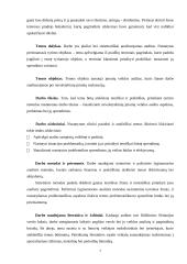 Įmonių veiklos auditas Lietuvoje: problemos ir sprendimai 7 puslapis