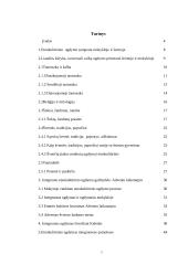 Integruoto etnokultūrinio ugdymo II-III klasėje galimybės