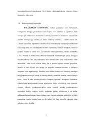 Integruoto etnokultūrinio ugdymo II-III klasėje galimybės 10 puslapis