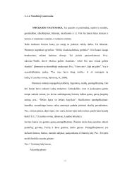 Integruoto etnokultūrinio ugdymo II-III klasėje galimybės 12 puslapis