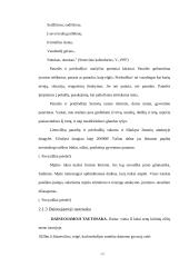 Integruoto etnokultūrinio ugdymo II-III klasėje galimybės 13 puslapis