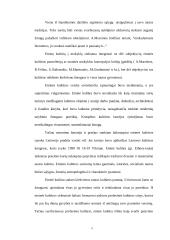 Integruoto etnokultūrinio ugdymo II-III klasėje galimybės 3 puslapis