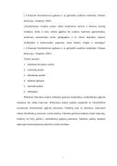 Integruoto etnokultūrinio ugdymo II-III klasėje galimybės 6 puslapis