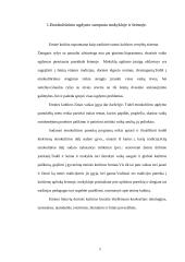 Integruoto etnokultūrinio ugdymo II-III klasėje galimybės 7 puslapis