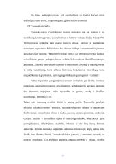 Integruoto etnokultūrinio ugdymo II-III klasėje galimybės 9 puslapis