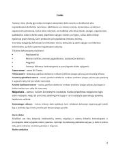 Tam tikrų kategorijų darbuotojų įdarbinimas 2 puslapis