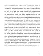 Tam tikrų kategorijų darbuotojų įdarbinimas 12 puslapis