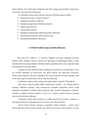 Įvaizdžio stiprinimas: AB "Aušra" 12 puslapis