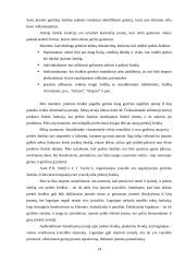 Įvaizdžio stiprinimas: AB "Aušra" 13 puslapis