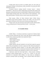 Įvaizdžio stiprinimas: AB "Aušra" 15 puslapis