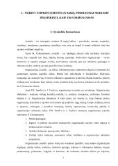 Įvaizdžio stiprinimas: AB "Aušra" 6 puslapis