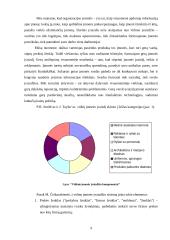 Įvaizdžio stiprinimas: AB "Aušra" 8 puslapis