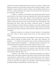 Tarptautinė organizacija kaip socialinė sistema: bendravimo neverbaline kalba svarba 16 puslapis