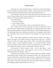 Tarptautinė organizacija kaip socialinė sistema: bendravimo neverbaline kalba svarba 8 puslapis