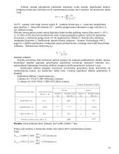 Kombinuoto ciklo elektrinės projektavimas 16 puslapis