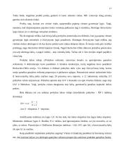 Teoriniai tarptautinės prekybos aspektai 16 puslapis