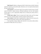 Teoriniai tarptautinės prekybos aspektai 3 puslapis